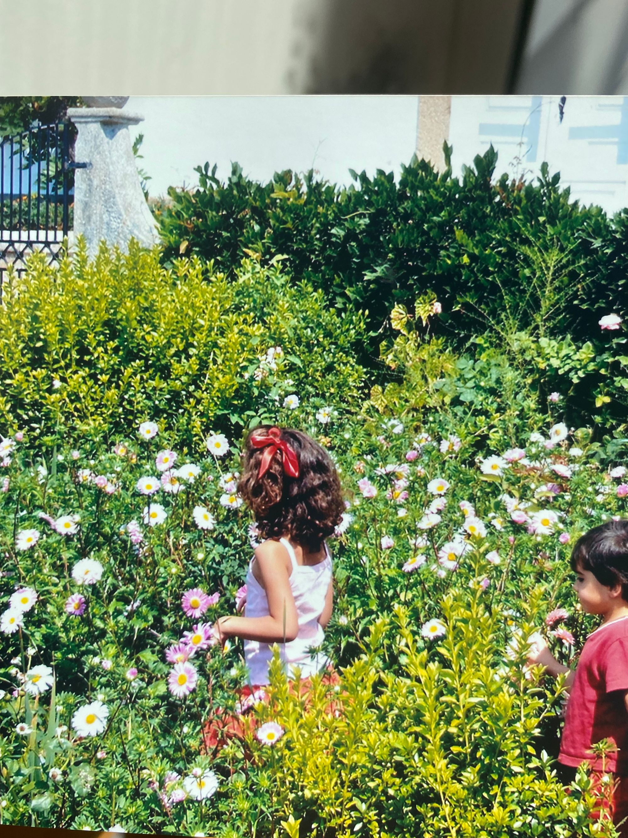 now that I think of it, I realize that from earliest childhood I felt a yearning towards those intense summers of the kind that are seething forever in savage lands